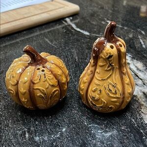 Ceramic Pumpkin and Gourd Salt and Pepper Shakers Fall Themed
